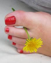 Feet